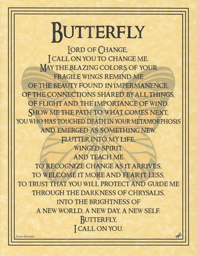 Butterfly (image for) Butterfly