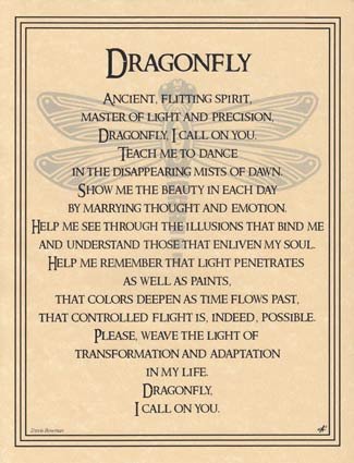 Dragonfly (image for) Dragonfly