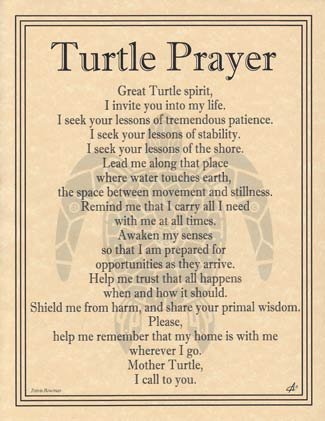 Turtle Prayer (image for) Turtle Prayer
