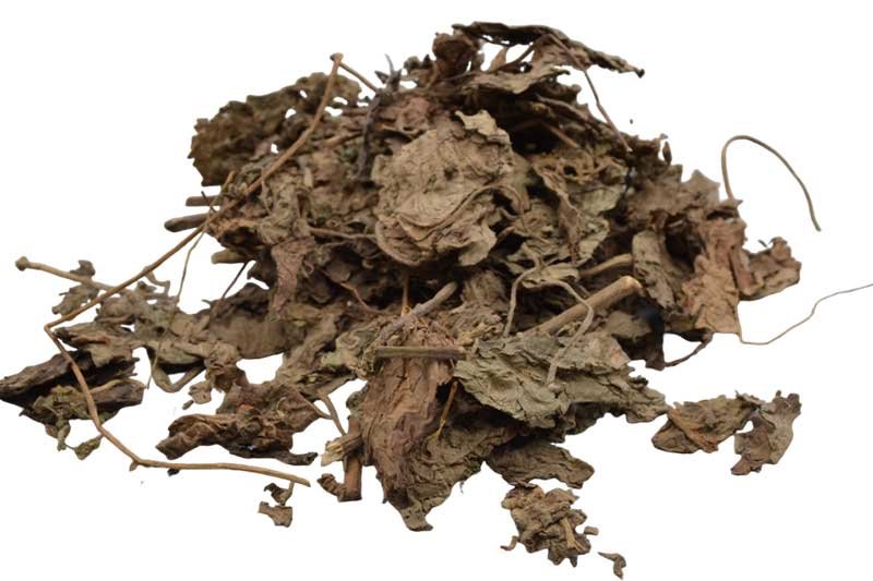 1 Lb Patchouli Leaf whole (image for) 1 Lb Patchouli Leaf whole