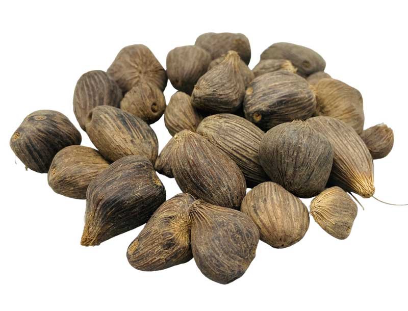 1# Ikin 3 Eyes (Palm Oil Seed) (image for) 1# Ikin 3 Eyes (Palm Oil Seed)
